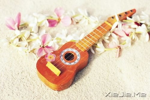 Z(y)澳׌҂׃ø(jin)(qing) (5)