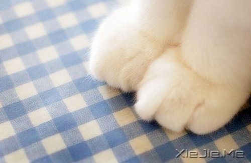 Z҂҂ŕ˴Ҫ (3)
