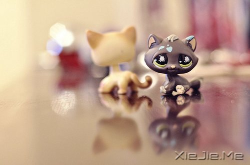 ZҸ߅֪ (3)