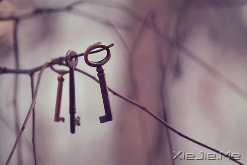 ZҸ߅֪ (4)