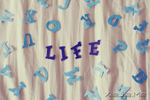簲Z@ֻһ(g) (4)