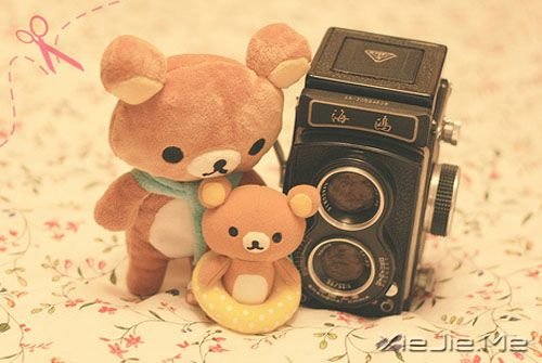 簲Z@ֻһ(g) (6)