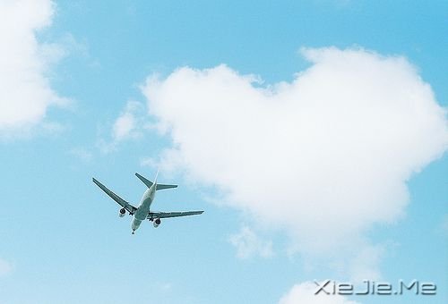 簲Z@ֻһ(g) (8)