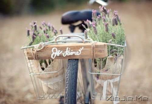 簲Z@ֻһ(g) (9)