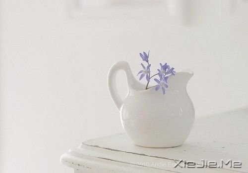 簲Z(y)h(yun)(hu)ȥֻ (4)