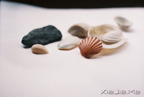 簲Z(y)ҸǽKc(din)ó̵; (10)