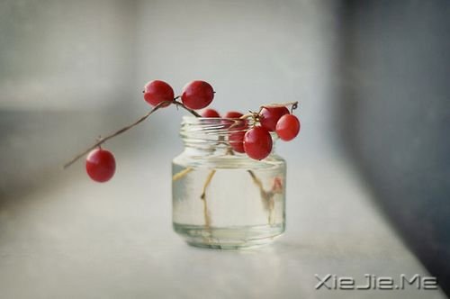 簲Z¸f뷨(hu) (7)
