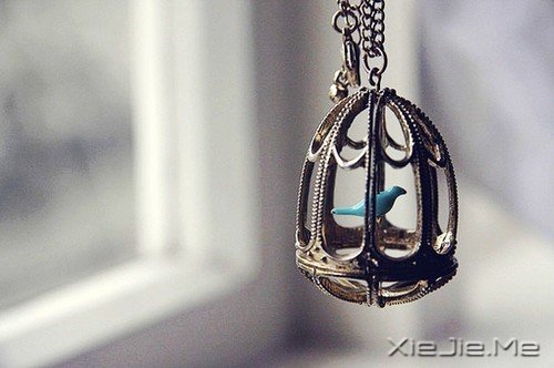 ZҪ?yn)ߵ̫h(yun)҂?yu)ʲôl(f) (9)