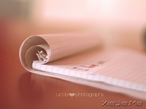 Zp߶h(yun)߶h(yun) (10)