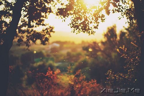 簲ZμҸ· (4)