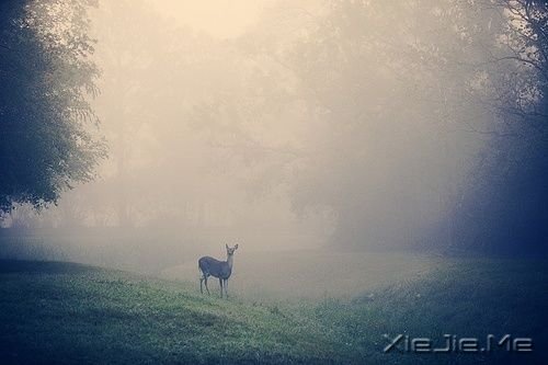 簲ZμˣҸ· (5)