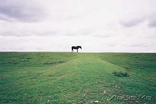 簲ZμҸ· (6)