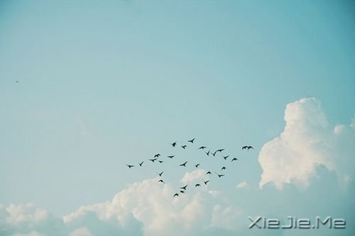 簲ZμҸ· (8)
