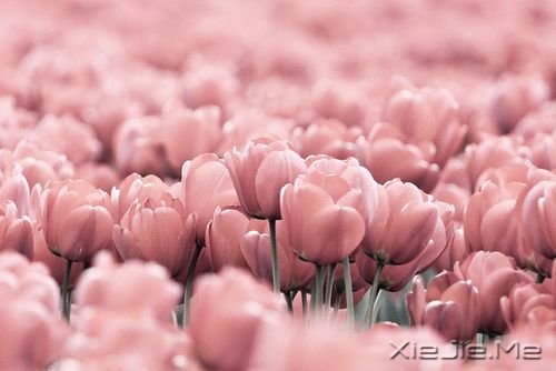 簲ZμҸ· (10)