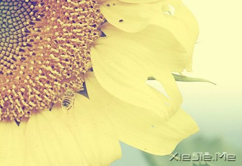 簲Zͯδһֵ (1)