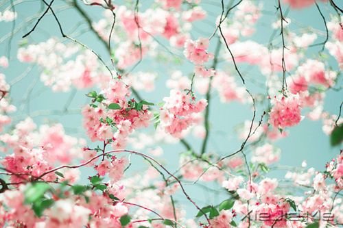簲Zͯδһֵ (3)