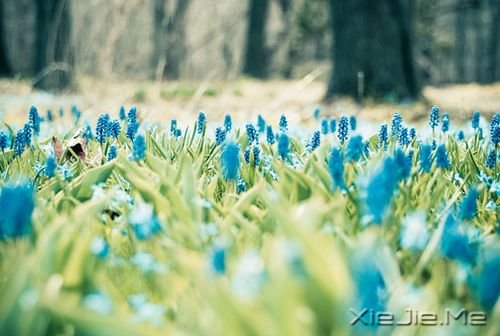 簲Zͯδһֵ (9)