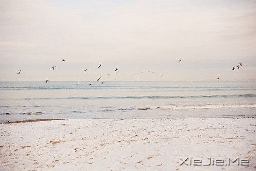Zַ_õһ (6)
