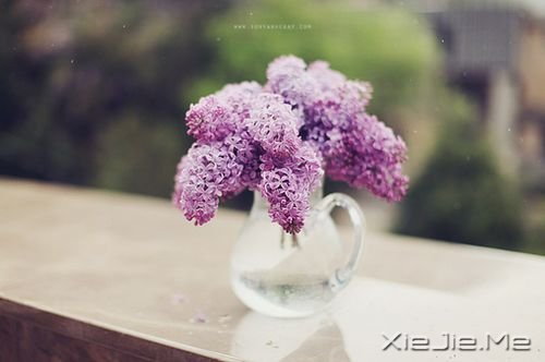 Zһο׌˲gL (1)