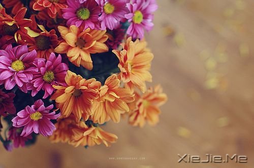 Zһο׌˲gL (4)