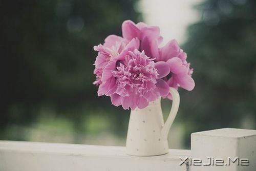 Z㲻¸](jin)(qing) (3)