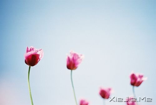 簲ZoһC(j)@C(j) (3)