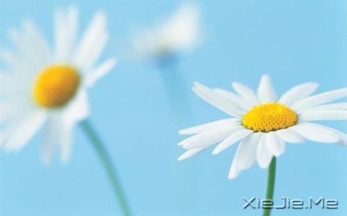 簲ZL (3)