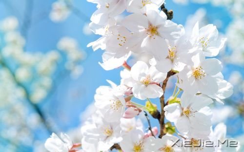 簲ZL (7)