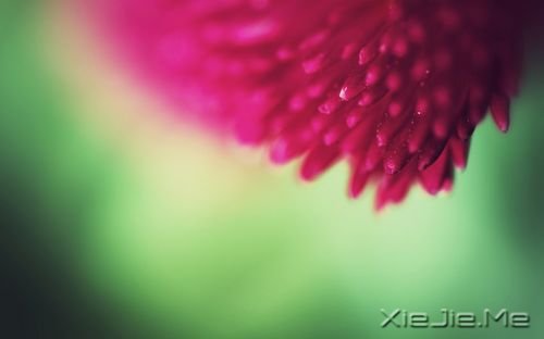 簲ZL (10)