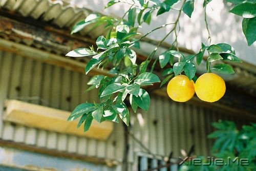 ZеԽ٣Խȥϧ (5)