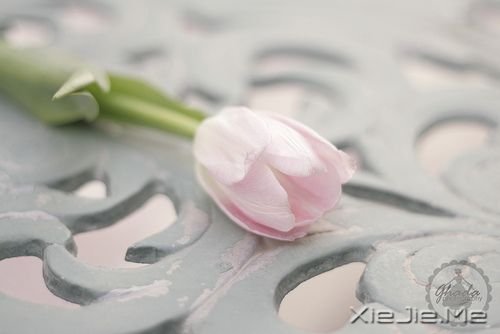 簲ZɹٶһҪ^ĸȥٶ (2)
