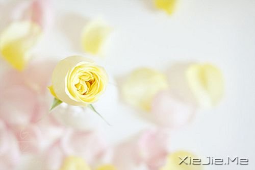 簲ZɹٶһҪ^ĸȥٶ (3)