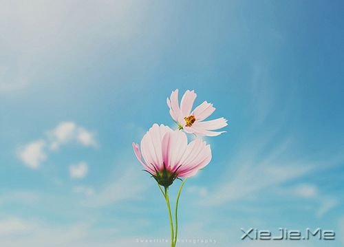 簲ZɹٶһҪ^ĸȥٶ (4)