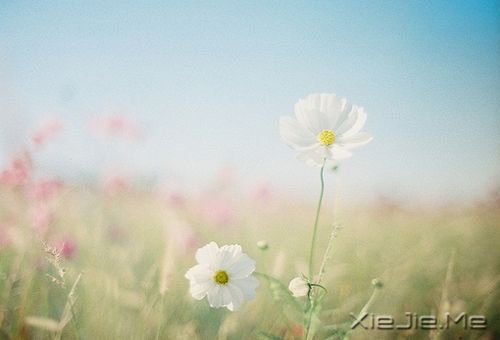 簲ZɹٶһҪ^ĸȥٶ (5)