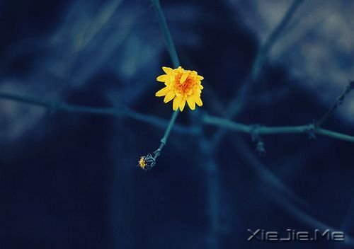 簲ZɹٶһҪ^ĸȥٶ (6)