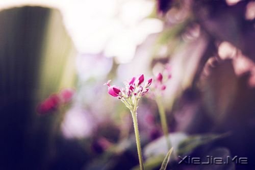 簲ZɹٶһҪ^ĸȥٶ (8)
