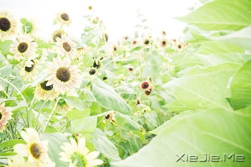 簲ZɹٶһҪ^ĸȥٶ (10)
