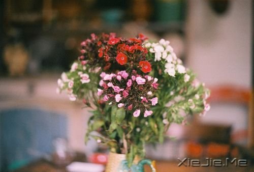 簲Z:ԼЦݲL(fng) (3)