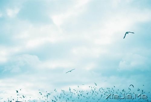 簲Z:ԼЦݲL(fng) (2)