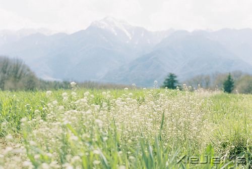 簲Z:ԼЦݲL(fng) (4)