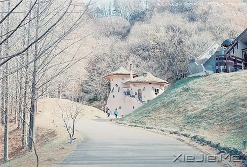 簲Z:ԼЦݲL(fng) (5)