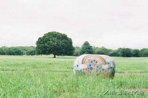 簲Z:ԼЦݲL(fng) (7)