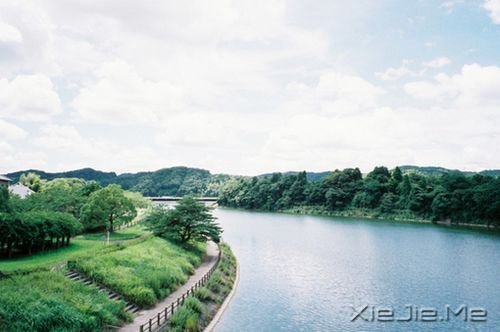 簲Z:ԼЦݲL(fng) (8)