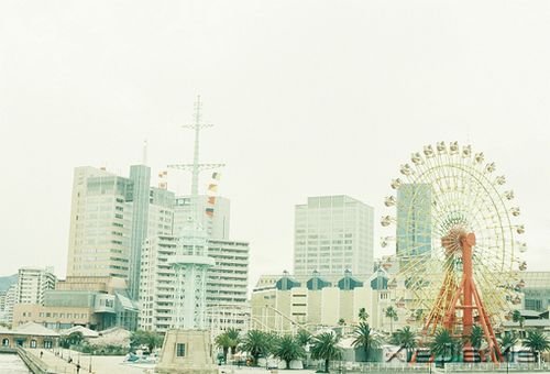 簲ZwԿۜIe (5)