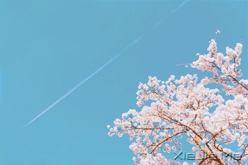 簲Z(y)ֻҪߣ(hu)M(jn) (1)