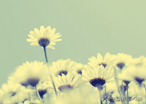 簲Z(y)ֻҪ(hu)M(jn) (2)