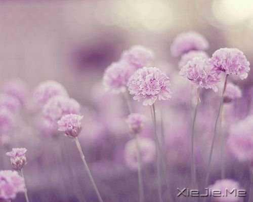 簲Z(y)ֻҪ(hu)M(jn) (5)