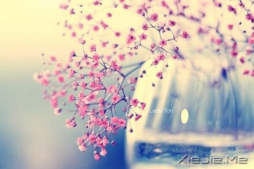 簲Z(y)ֻҪ(hu)M(jn) (7)