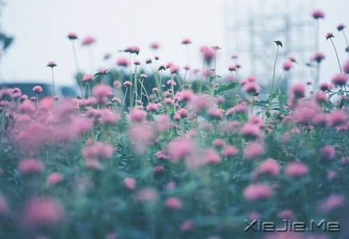 簲ZĺСҪb̫n (9)