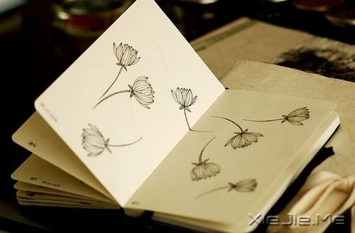 Z^ȥo،s׌Ҹӈ(jin)(qing) (7)